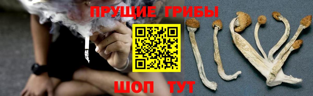 Шахты  Галлюциногенные грибы Psilocybine cubensis  Псилоцибиновые грибы Magic Shrooms  Вход с VPN 